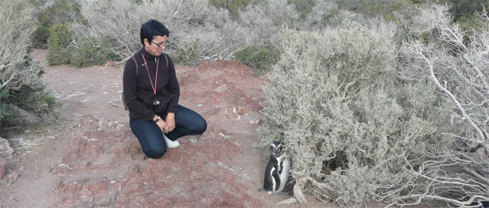 Image:Un par de fotos en Punta Tombo