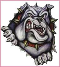 The Dog 