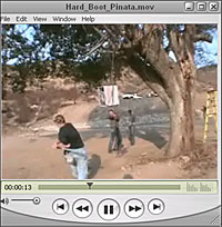 Hardboot Pinata